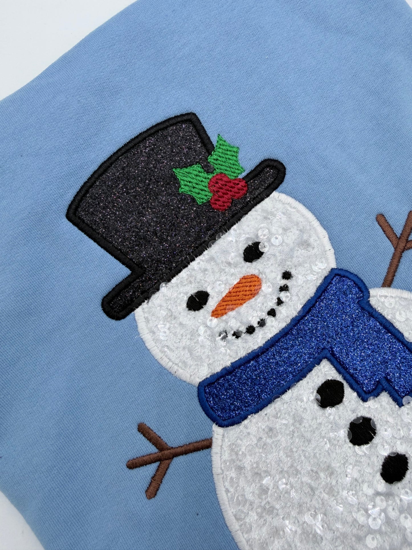 Frosty Sequin Appliqué Embroidery Design